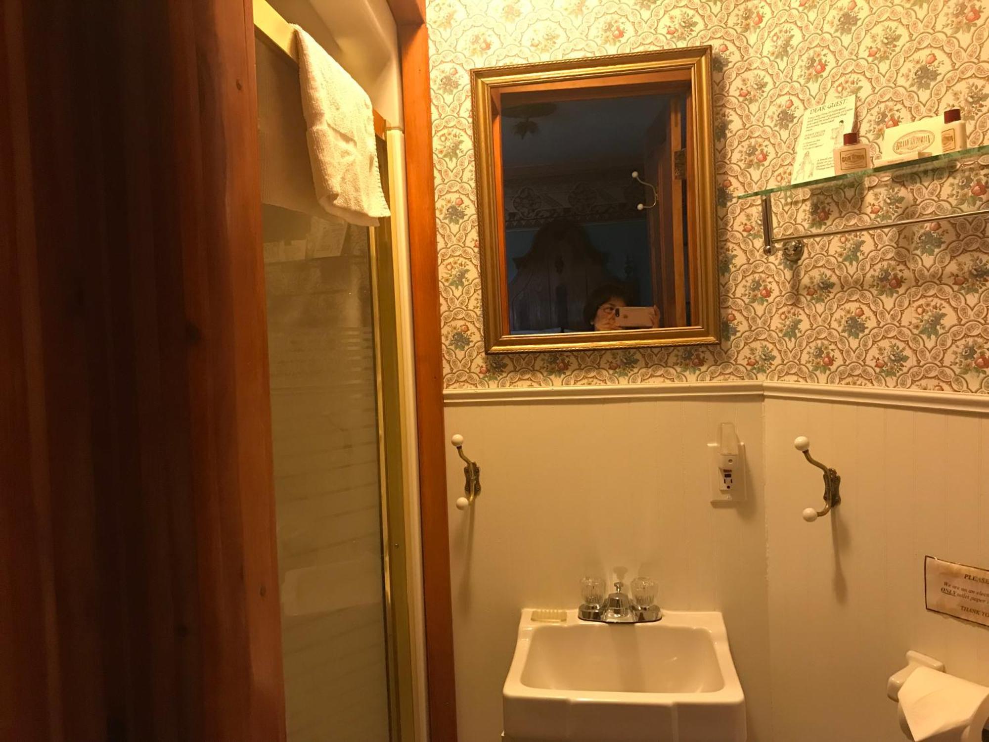 Grand Victorian B&B Inn Bellaire Rum bild